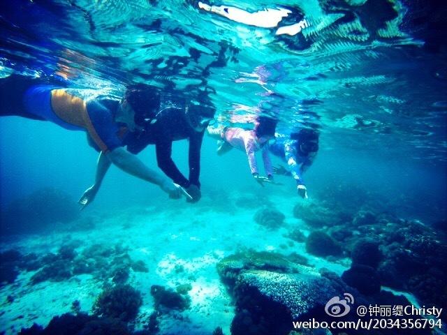 试镜机会
